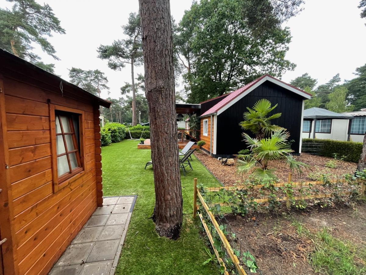 Chalet Bospark Wolfsven - Bpw 1583